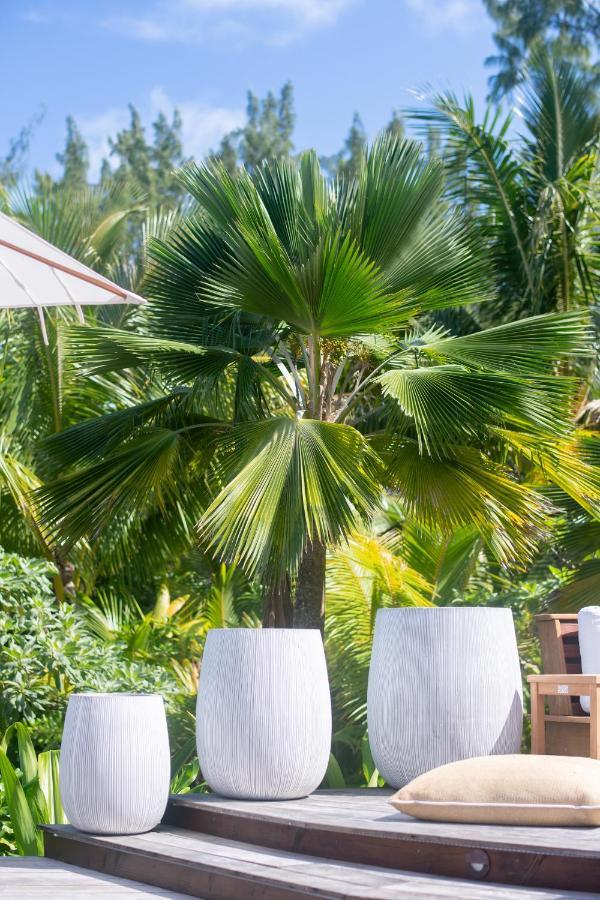Vila Motu Nao Nao Private Island Opoa Exteriér fotografie